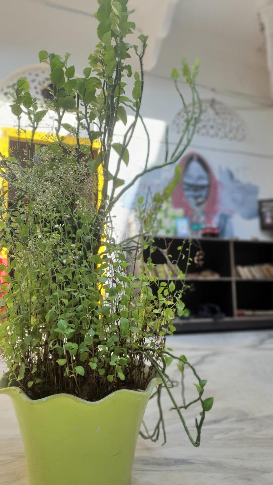 Anand Hostel Pushkar Exterior photo